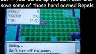 GekkouKitsune's PokeRadar Chaining Guide screenshot 2