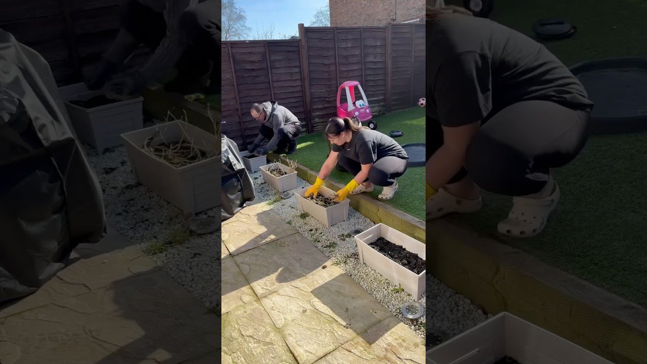 Garden Clean Up 🪴