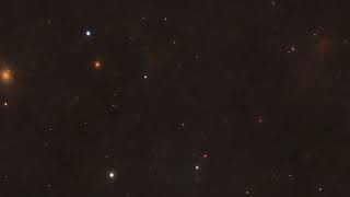 ▶️ Salsa - Rani Abulaila 🎵 | [Free Background Music - No Copyright - Free Download] screenshot 5