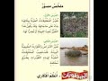 محمد السالم من غاب دلالي Mohamed Alsalim Men Ghab Dalaly محمد السالم من غاب دلالي Mohamed Alsalim Men Ghab Dalaly