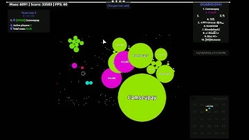 agario split running Vivaldi &Kiki