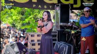 D'RADJA PASTI AJA - DIRIMU DIRINYA - EVA AQUILA - HAPPY PARTY REGANSY - BRINGIN BATEALIT JEPARA