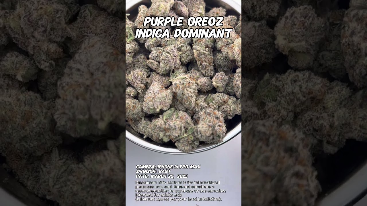 Purple Oreoz  | Gasu Sponsored | Strain Spotlight