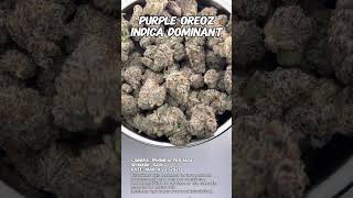 Purple Oreoz  | Gasu Sponsored | Strain Spotlight