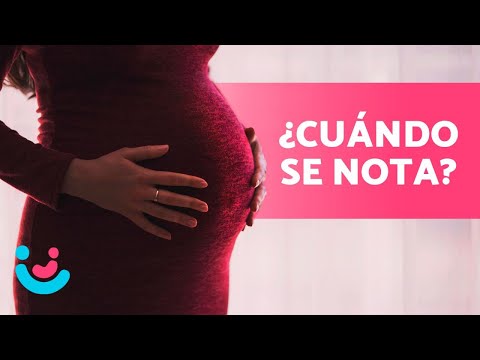 Vídeo: Vientre Embarazado: ¿Importa El Tamaño?