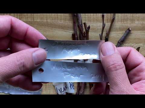 DIY - Easy long lasting embossed aluminum plant labels / tree tags