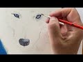 Painting white fur using three colors / Cómo pintar pelo blanco con acuarelas usando tres colores