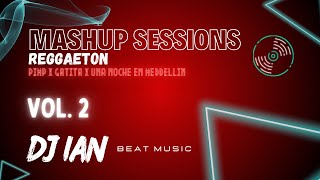 Mashup Sessions Vol. 2 - Reggaeton (Visualizer) DJ Ian