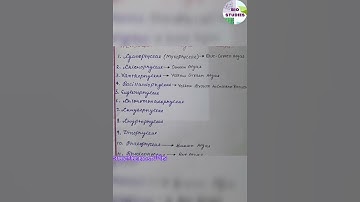 Fritsch Classification of Algae #phycology #biology #science #biostudies #shorts