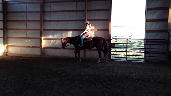 For Sale-  Double Ds Are Hot AQHA/APHA 2004 mare