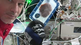 NASA releases video of first space-baked cookies