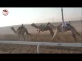 شارة الإتحاد ميدان الظفرة الجمعة 2022 12 16 الشوط 11 اليوازي لـ سالم علي سعيد السبع الدرعي شارة الإتحاد ميدان الظفرة الجمعة 2022 12 16 الشوط 11 اليوازي لـ سالم علي سعيد السبع الدرعي