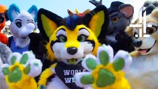 Being a Furry for a Day