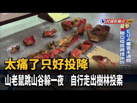 霧社山老鼠負傷跳山谷 移工受不了疼痛投案－民視新聞