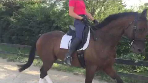 Miles lesson with Susan Beebee