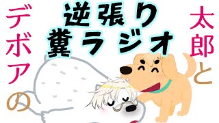 【お悩み相談】太郎とデボアの逆張り糞ラジオ #最終回【Vtuber】