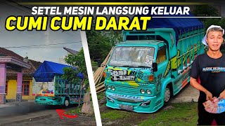 🔴WOW UMPLUNG JUGA BISA JADI CUMI CUMI DARAT..!!