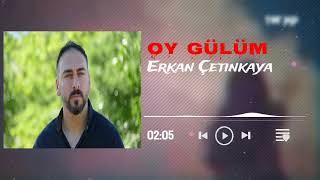 Erkan Çetinkaya - Gülüm Resimi