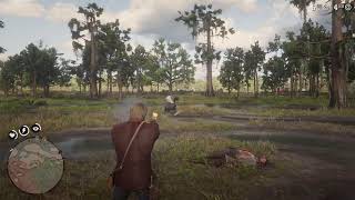 RED DEAD REDEMPTION 2 LIVE ‼️JOIN UP ‼️PROMOTE HERE ‼️