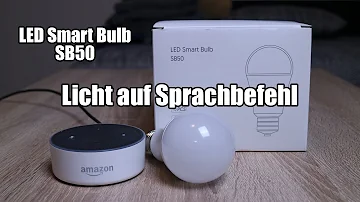 Welche Lampen kann man mit Alexa verbinden?