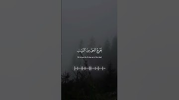 قرآن |سورة الروم |الآيات 17-19 Quran |surah Ar-room |Quranic verse 17-19