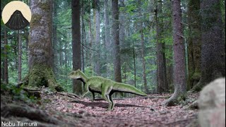 Evolution of Triceratops (the Ceratopsians) by Moth Light Media 112,666 views 5 months ago 10 minutes, 22 seconds