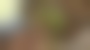 How to Kill Kudzu ONCE & FOREVER without chemicals or advil