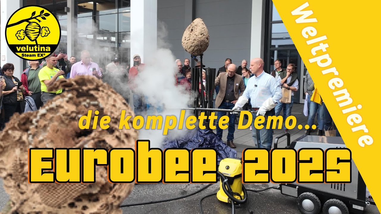Eurobee 2025 Weltpremiere Steam Ex gegen die Asiatische Hornisse!