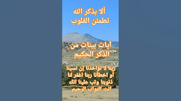 آيات بينات من الذكر الحكيم #قرآن #اكسبلور#صبرو #قرآن #تيك_توك #ترند#قران_كريم #القرآن_الكريم #لايك