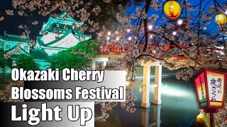 OKAZAKI PARK(岡崎公園)/OKAZAKI CASTLE(岡崎城)CHERRY BLOSSOM ILLUMINATION | Okazaki City | Aichi Prefecture