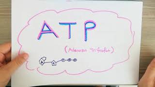 Atp 9.Sinif Bi̇yoloji̇