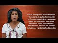 Video de San Baltazar Chichicapam