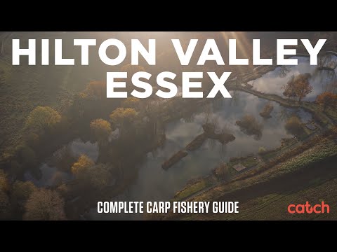 Hilton Valley Carp
