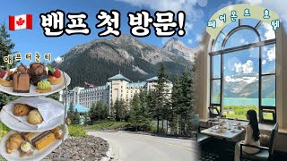 캐나다 밴프에서 가장 먼저 한 일은.. 20만원짜리 애프터눈티 호로록하기