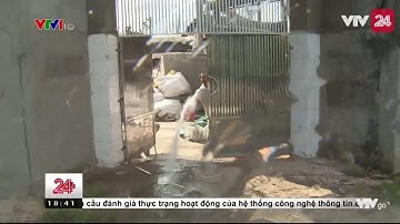 Tiền Giang: Công ty tái chế nhựa gây ô nhiễm môi trường - Tin Tức VTV24