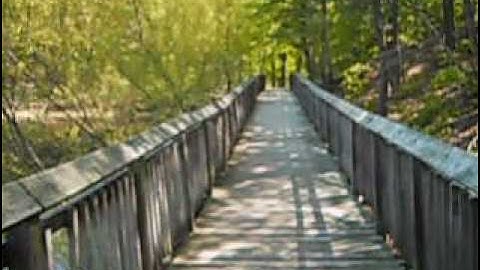 Another Walk at Calvert Cliffs