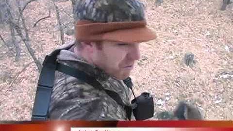 Swhacker broadhead review