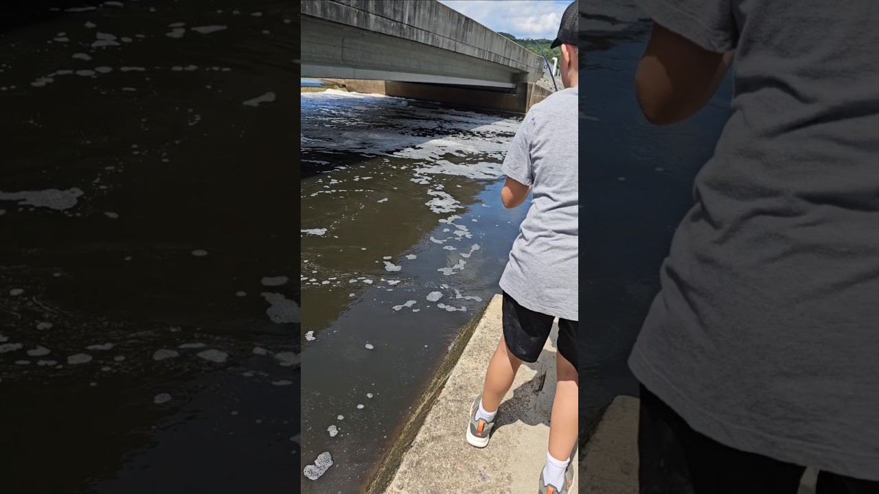 What do you all call these? We call them bowfin. 