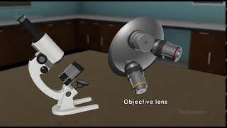 How a compound microscope  works? / 3D animated