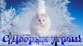 *** ☕ ДОБРОЕ УТРО! 🎄***