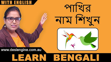 পাখির নাম শিখুন | Learn the Name of Birds | Learn Bengali | Desi Engine India