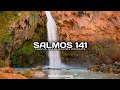 SALMOS 141 (narrado completo)NTV @reflexconvicentearcilalope5407 #biblia #dios #parati #salmos #fé