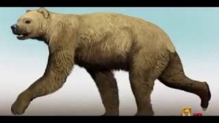 NEW Hybrid Bears Amazing New Evidence ★ Full Documentary HD