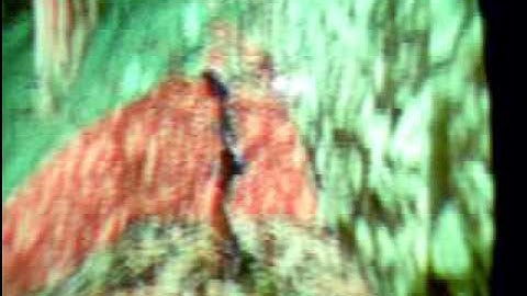 Tomb Raider 3 skip level cheat.