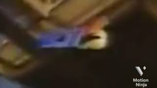 D.O.G.S RCTI 16 Tahun (Agustus 2005)