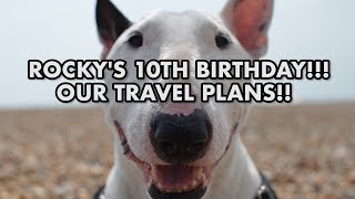 Rocky's 10th BIRTHDAY and our future TRAVEL PLANS!!