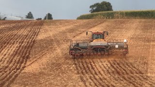 Safra 2024 - Fazenda Ressaca