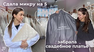 : VLOG:     3   |    ????