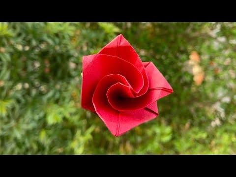 Video: Hvordan Man Laver En Origami Rose