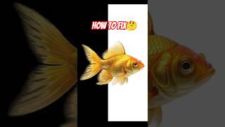 illustrator tips and trick shorts tutorial video #designtools #aitool #photoshop #design #adobe